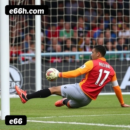 Requisitos do APK da e66 para Android