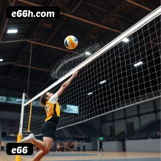 Principais provedores de slots da e66 - NetEnt, Pragmatic Play, Play'n GO